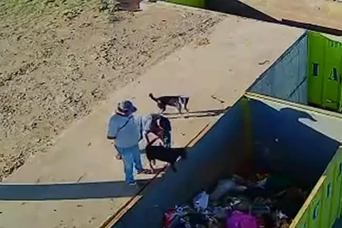 Dupla que foi flagrada praticando maus-tratos a cães em Guamiranga são indiciados pela polícia; assista!