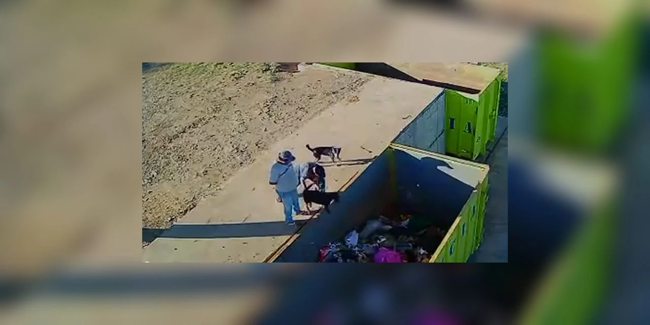 Dupla que foi flagrada praticando maus-tratos a cães em Guamiranga são indiciados pela polícia; assista!