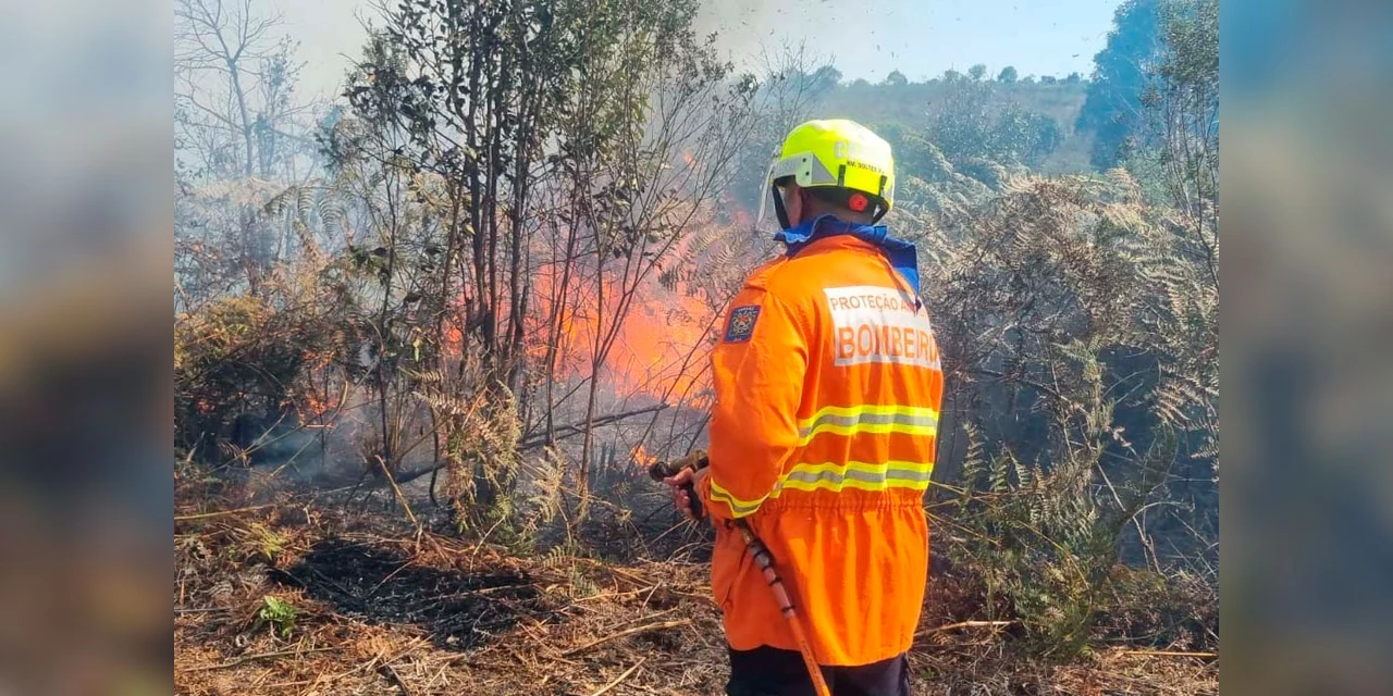 IAT promove nova queimada controlada de espécie exótica no Parque de Vila Velha