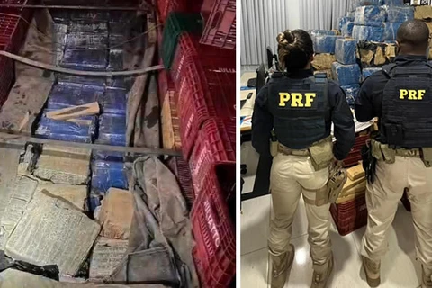 PRF apreende caminhão carregado com 5 toneladas de maconha em Irati