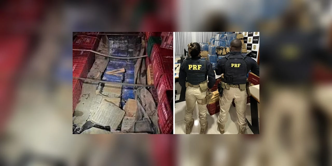 PRF apreende caminhão carregado com 5 toneladas de maconha em Irati