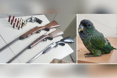 Operação policial prende homem por tráfico de animais silvestres e outros dois por posse ilegal de arma de fogo