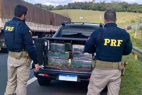 Mais de meia tonelada de maconha é apreendida pela PRF nos Campos Gerais