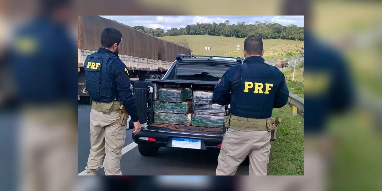 Mais de meia tonelada de maconha é apreendida pela PRF nos Campos Gerais