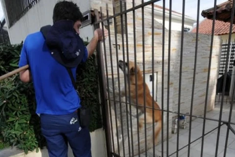 Ataque de cães é principal causa de acidente de trabalho dos leituristas da Sanepar