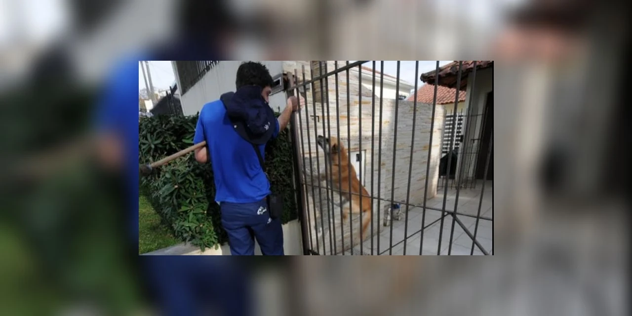 Ataque de cães é principal causa de acidente de trabalho dos leituristas da Sanepar