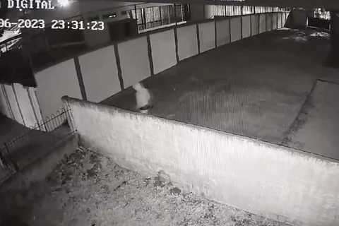 Polícia Civil prende suspeito de 20 furtos em CMEIs no PR