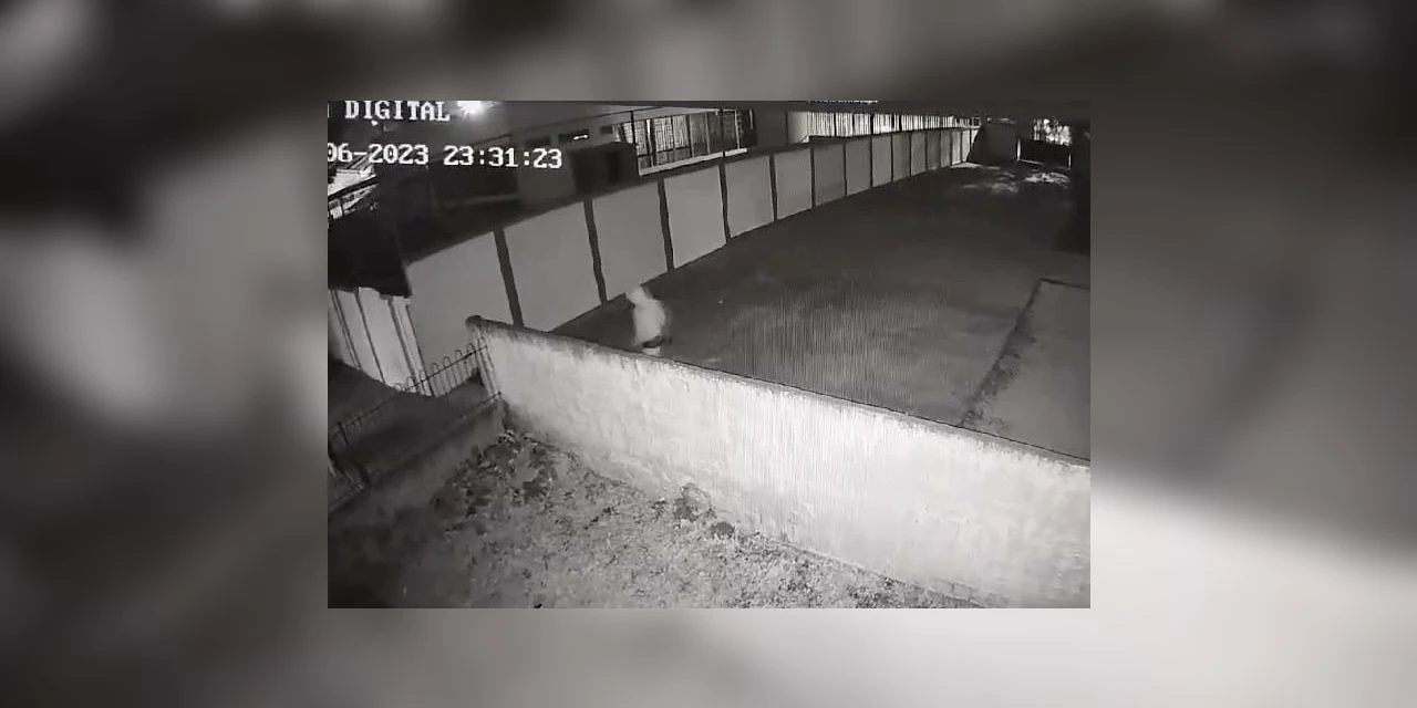 Polícia Civil prende suspeito de 20 furtos em CMEIs no PR