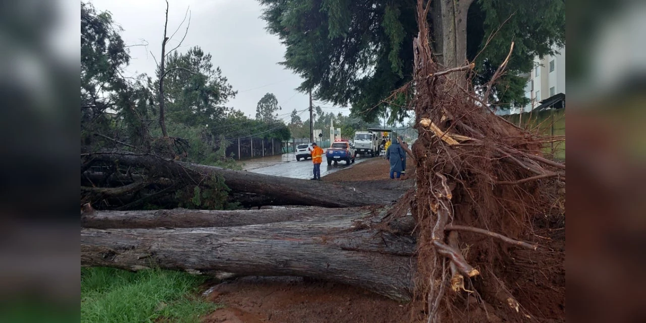 Ponta Grossa registra cerca de 300 ocorrências causadas pelas chuvas