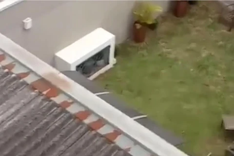 Nucria investiga mãe acusada de agredir o filho autista em Ponta Grossa