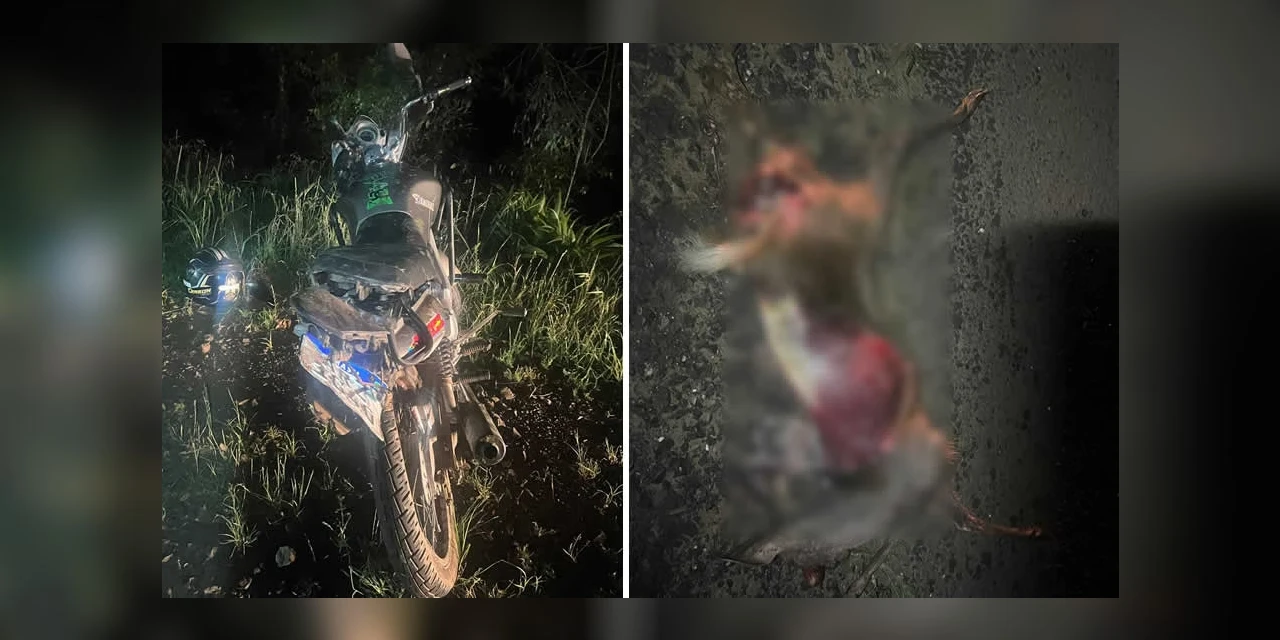Motociclista fica em estado grave após atropelar animal, em Guarapuava