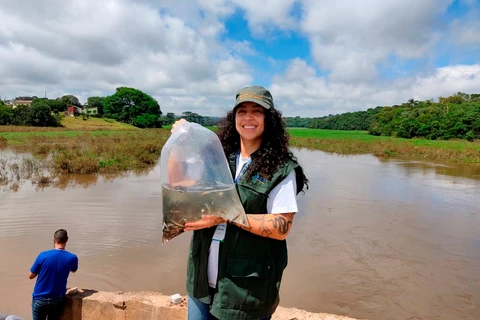 Represa dos Alagados recebe mais de 10 mil alevinos das espécies Piapara e Curimba