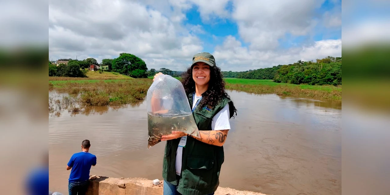 Represa dos Alagados recebe mais de 10 mil alevinos das espécies Piapara e Curimba