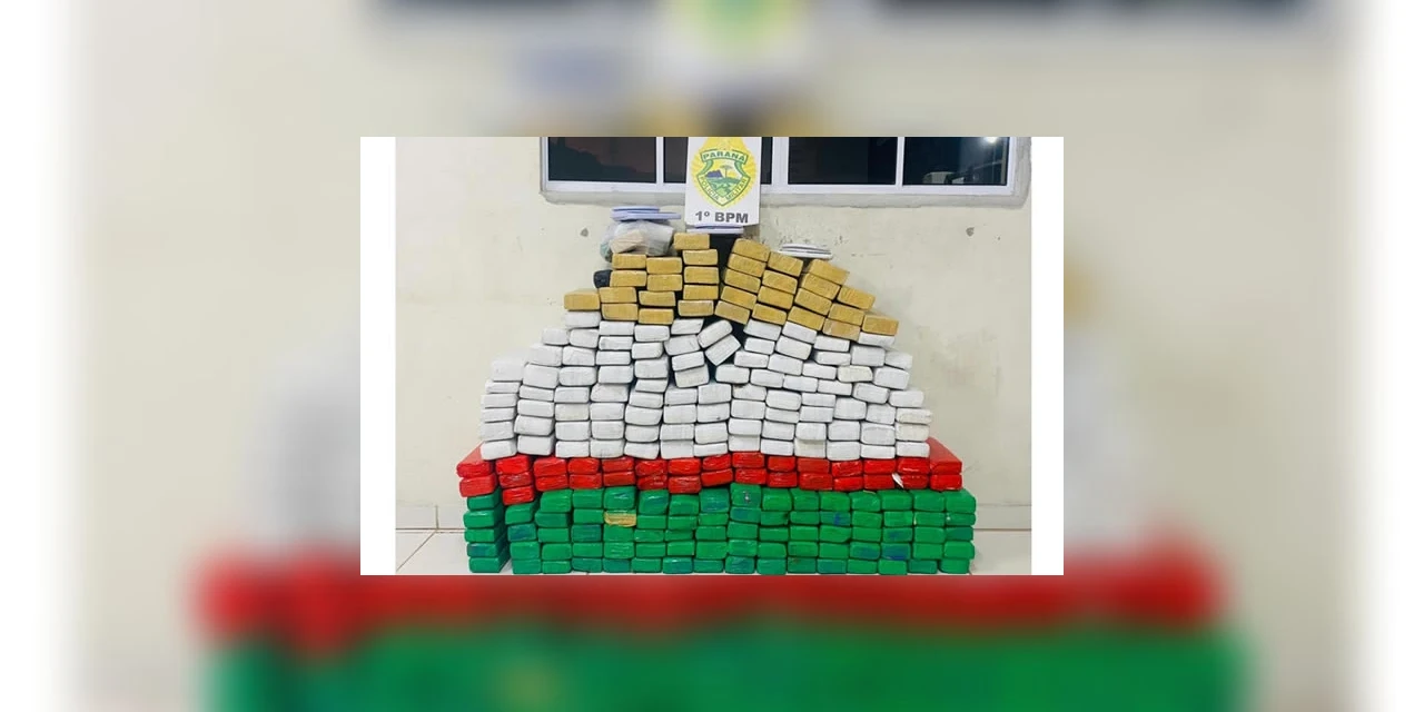 Jovem, de 20 anos é preso com mais de 200Kg de maconha, em PG