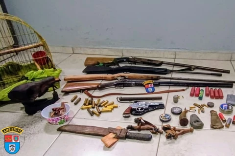 Força verde apreende arsenal após denúncia de caça predatória em Inácio Martins