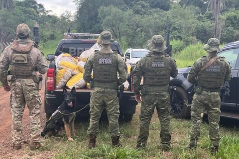 PF e BPFRON apreendem mais de 400kg de agrotóxicos no Paraná