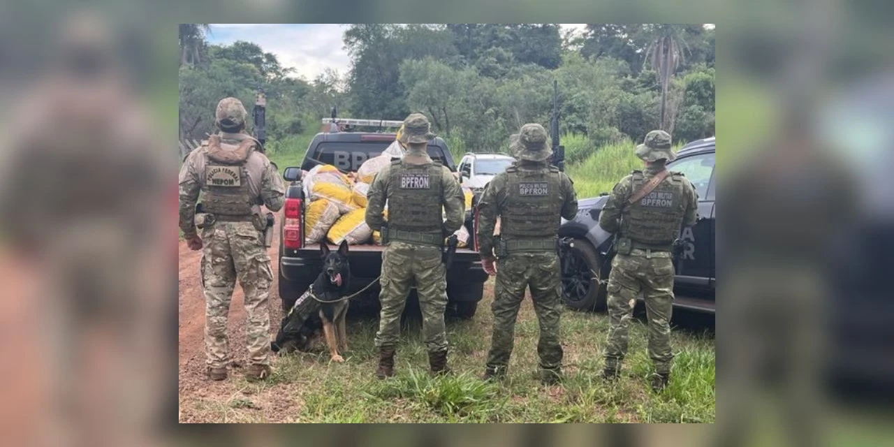 PF e BPFRON apreendem mais de 400kg de agrotóxicos no Paraná