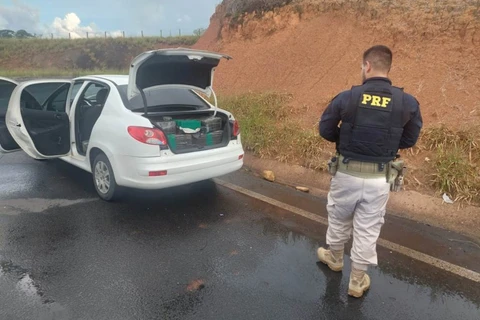 Homem é preso após ser flagrado transportando cerca de 250 kg de maconha em PG