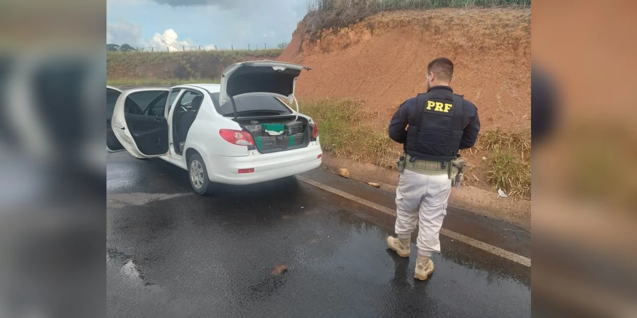 Homem é preso após ser flagrado transportando cerca de 250 kg de maconha em PG