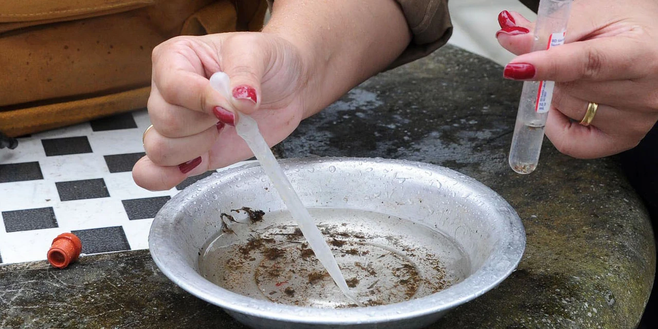 Boletim da dengue confirma 8.441 novos casos e mais sete óbitos no Paraná