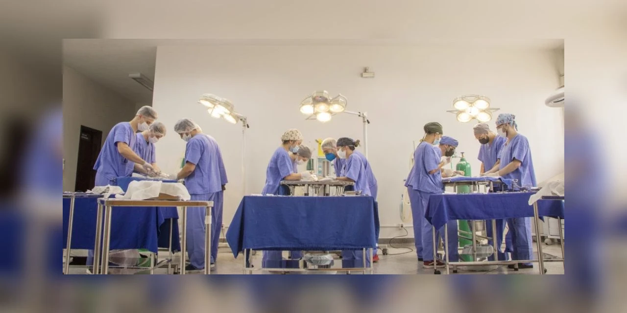 UEPG oferta dez novas vagas para Medicina em 2024