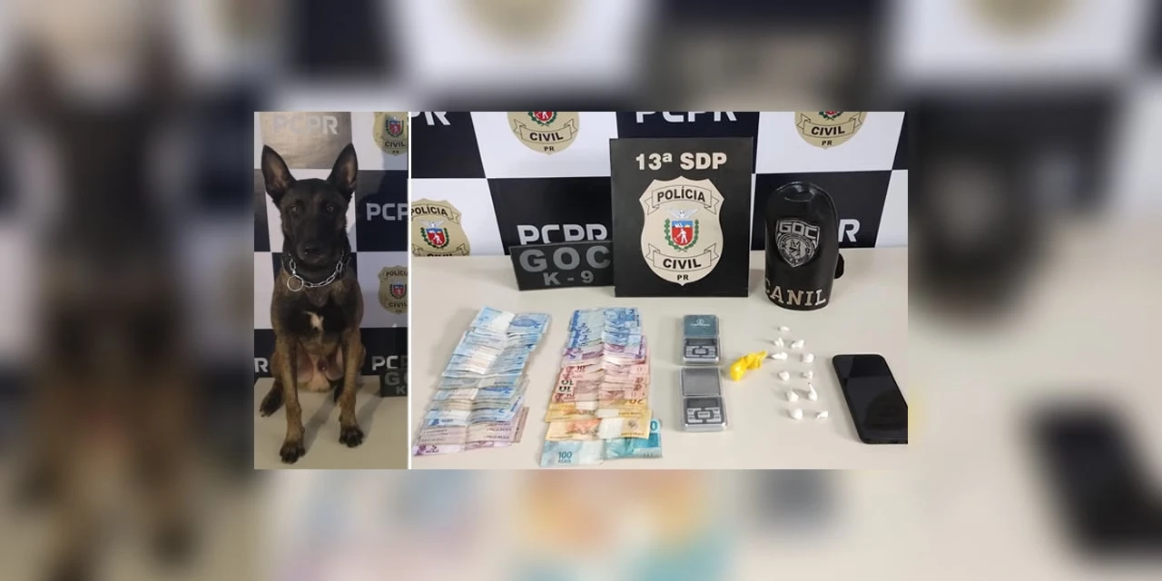 Cão farejador ajuda polícia a localizar drogas em residências da Vila Gralha Azul