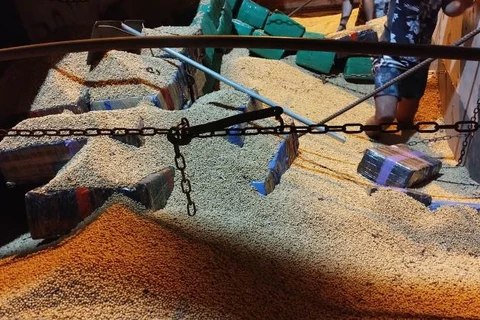 Em Irati, operação conjunta apreende 4 toneladas de maconha em meio a carga de soja