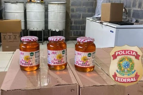 Operação da PF mira quadrilha que faturou R$ 4 milhões com mel falsificado
