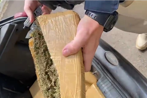 PRF apreende mais de 47Kg de maconha durante abordagem em Teixeira Soares