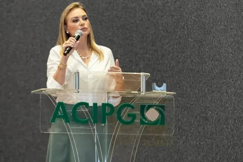 ACIPG propõe plebiscito sobre aumento no número de vereadores