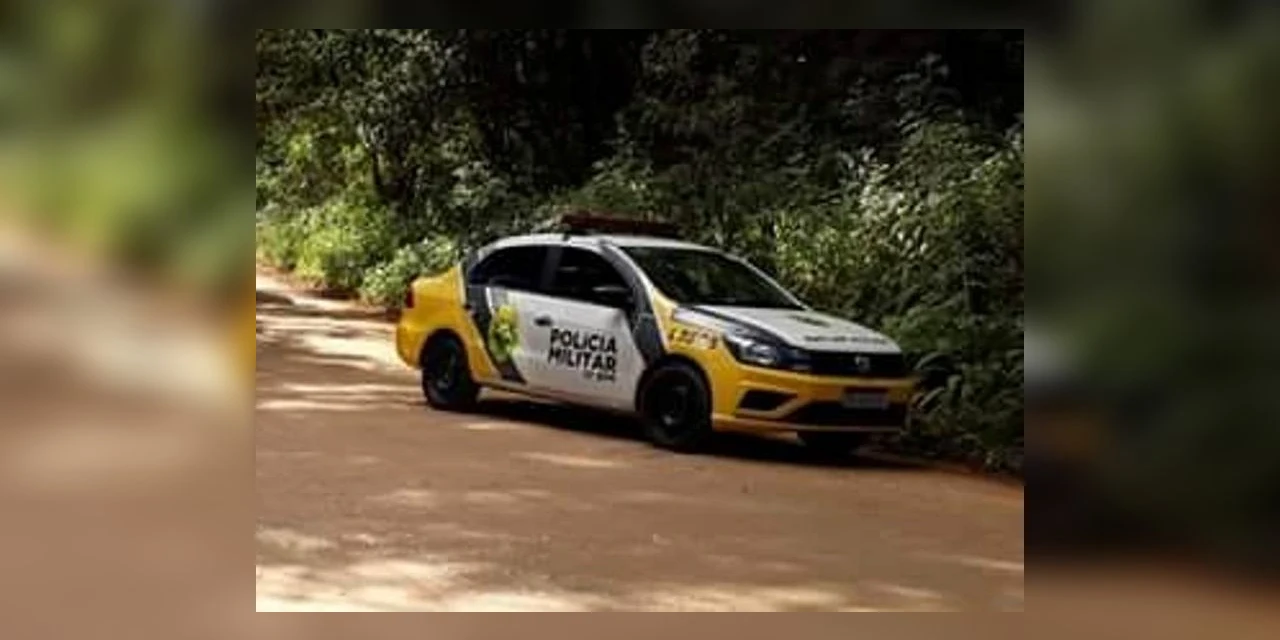 Idoso é encontrado morto dentro de veiculo na região dos Campos Gerais