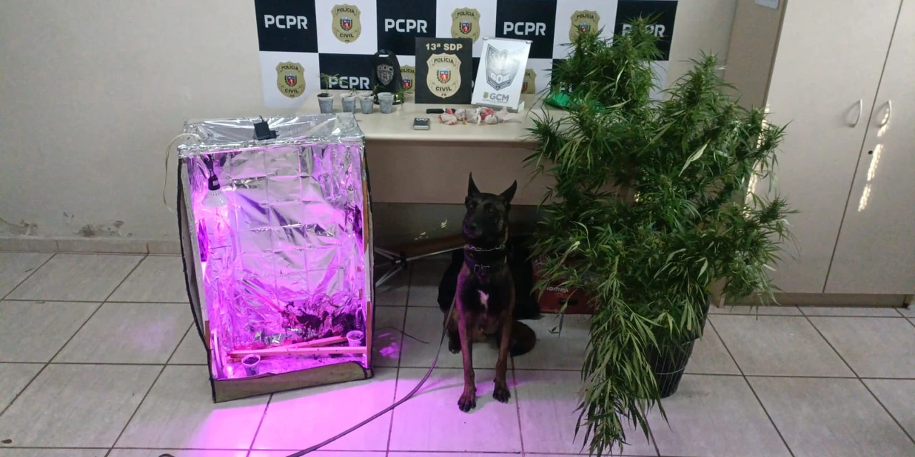 Ação integrada entre PC e GCM resulta na prisão de três suspeitos e na apreensão de drogas na Vila Mariana