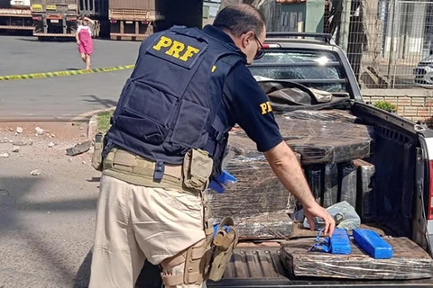 PRF apreende quase meia tonelada de maconha em Ponta Grossa