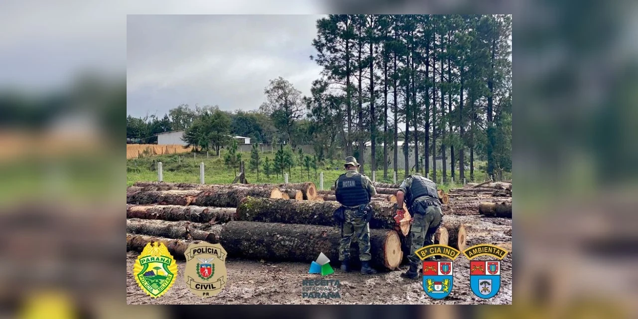 Operação da PC, PM e Receita Estadual combate crime ambiental em madeireiras da região