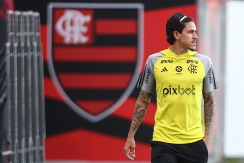 Flamengo e Palmeiras se enfrentam neste domingo pelo Brasileirão