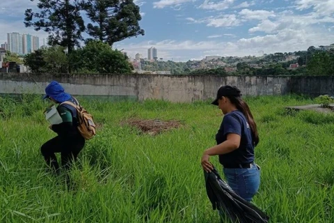 Em dois dias, mutirões da Prefeitura removem mais de 400 criadouros do Aedes Aegypti