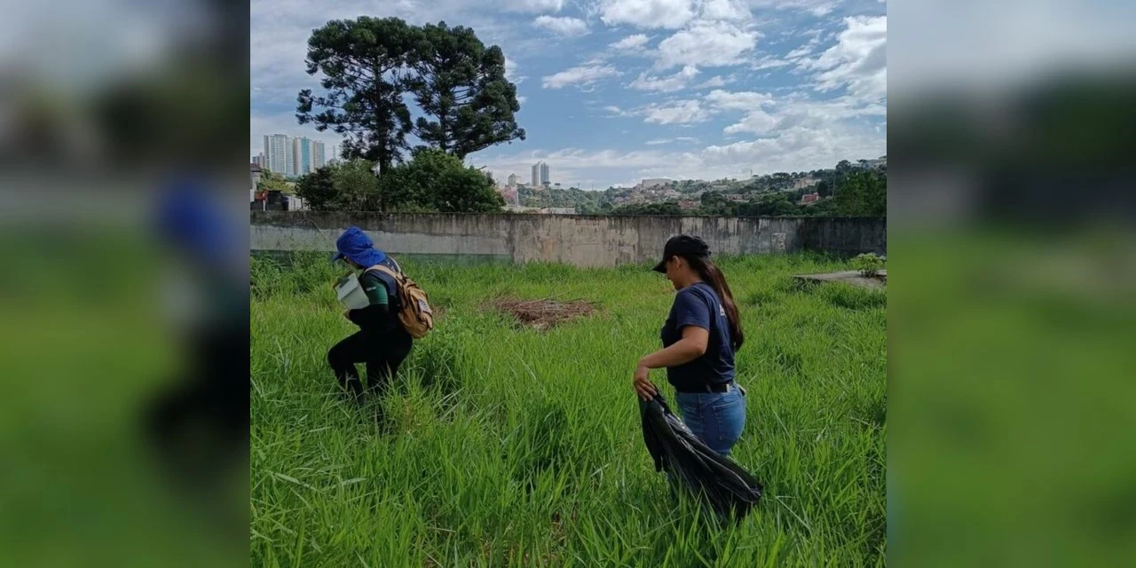 Em dois dias, mutirões da Prefeitura removem mais de 400 criadouros do Aedes Aegypti