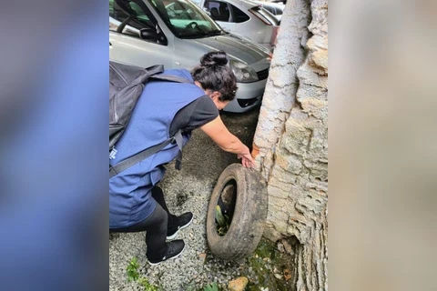 Canal de denúncias via Whatsapp entra em funcionamento e vai fortalecer fiscalização de criadouros do mosquito da dengue
