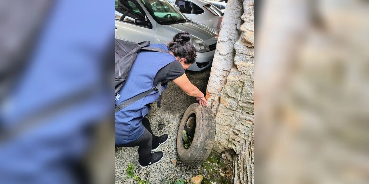 Canal de denúncias via Whatsapp entra em funcionamento e vai fortalecer fiscalização de criadouros do mosquito da dengue