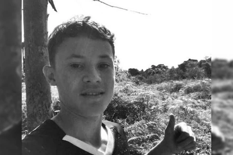 Adolescente de 15 anos morre após ser picado por cobra jararaca em SC