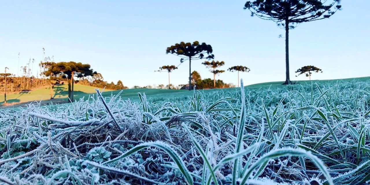 Serviço Alerta Geada começa nesta terça-feira no Paraná