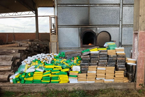 Polícia Civil de Palmeira realiza incineração de 977 quilos de drogas