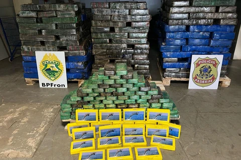 Forças policiais apreendem quatro toneladas e meia de maconha no PR