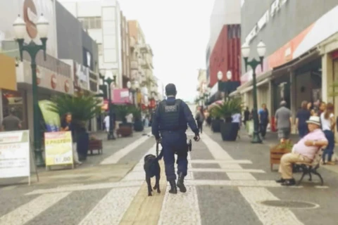 Homem é preso suspeito de passar a mão em partes íntimas de mulher no Calçadão