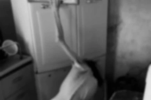 Mãe que mantinha própria filha portadora de necessidades especiais em cárcere privado é presa em PG