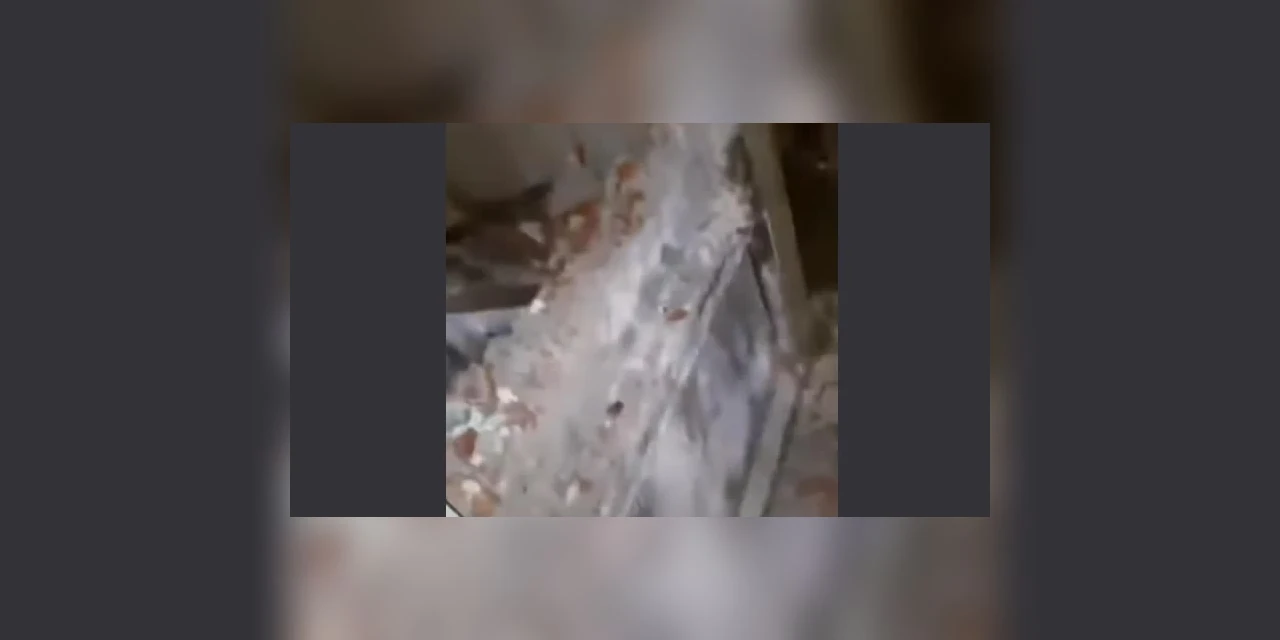 Vídeo mostra adolescentes retirando corpo de túmulo e fazendo piada em cemitério no Paraná