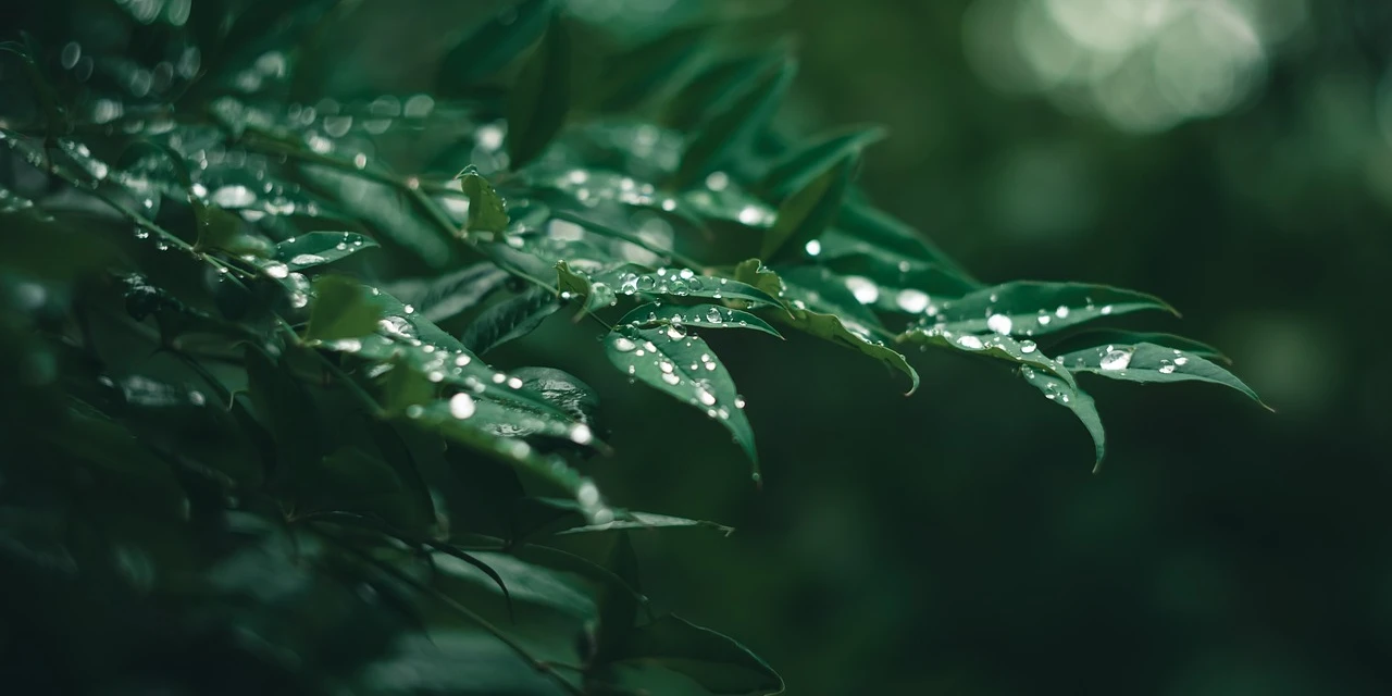 Paraná pode ter neve e chuva congelante nas próximas horas