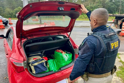 PRF apreende mais de 100kg de maconha, um revólver calibre 38 e munições de calibre 16 na BR-277