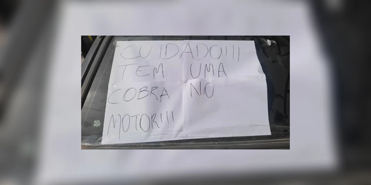 Mulher deixa recado para motorista após ver cena curiosa: “Cuidado”