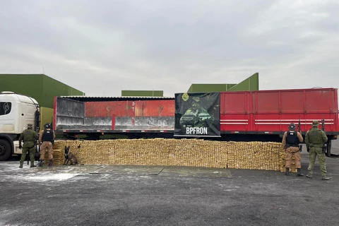 PMPR apreende 4,1 toneladas de maconha no PR